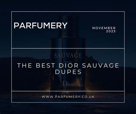 dior savage dupe|dior sauvage alternative.